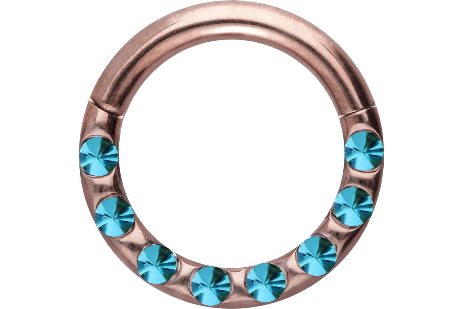 Chirurgenstahl Segmentring Clicker Piercing KRISTALLE + EPOXY ++SALE++